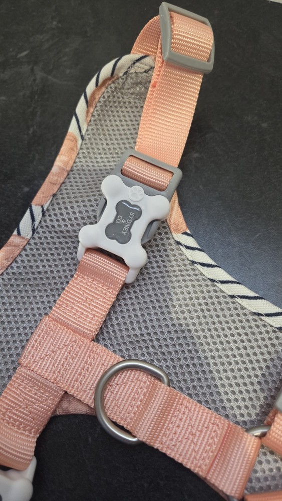 Pumpkin Pattern Adjustable Soft Dog Harness & Leash Set, Bone Buckle, Size L