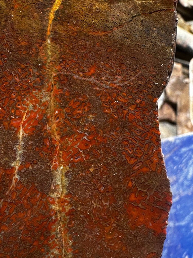 Dinosaur bone rough **hxtled large slab.