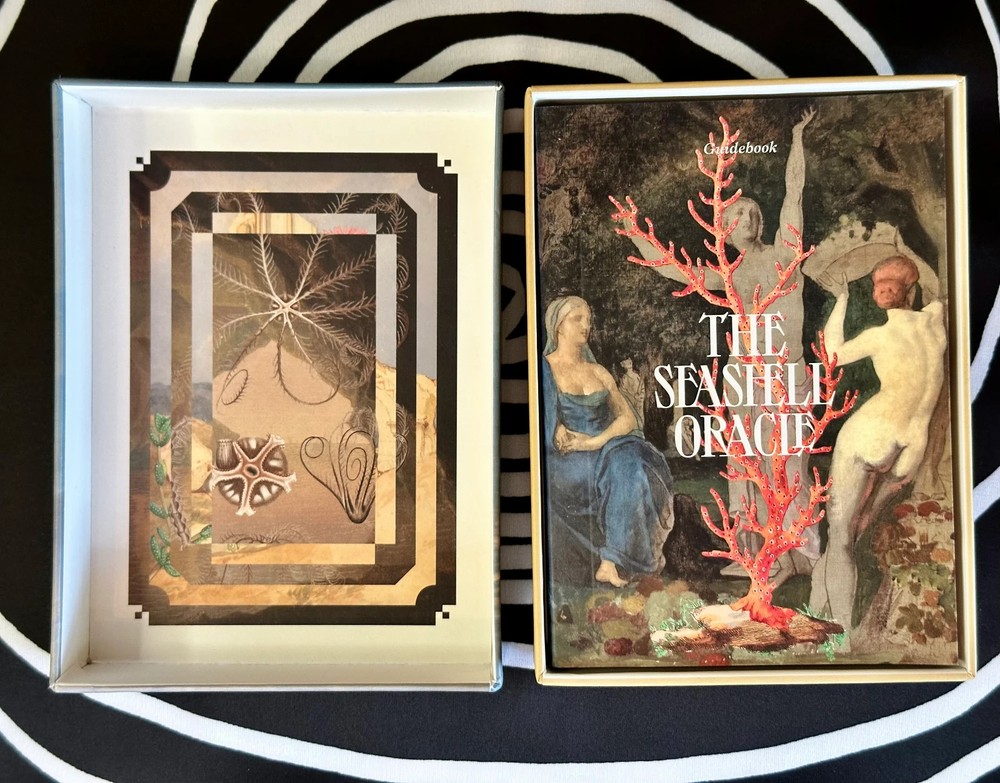 The Seashell Oracle Deck 44 Card Deck for Divination by Broccoli