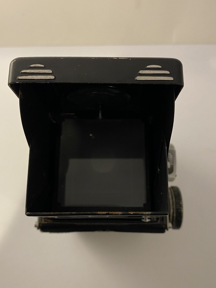Walzflex Camera
