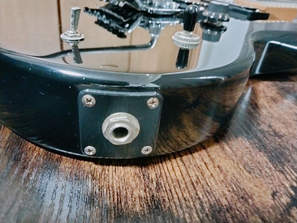 Edwards Electric Guitar Safe Packing!