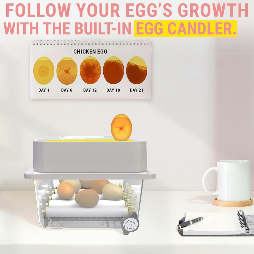 OBI-12 Egg Incubators for Hatching Eggs – Incubator for 12 Eggs with Automatic E