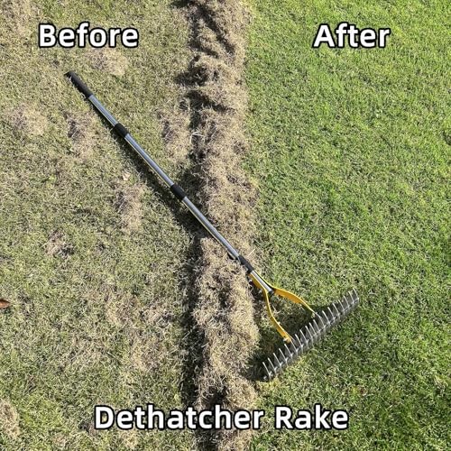 Thatch Rake 15 Inch Wide Efficient Dethatcher Rake for Cleaning Dead Grass,