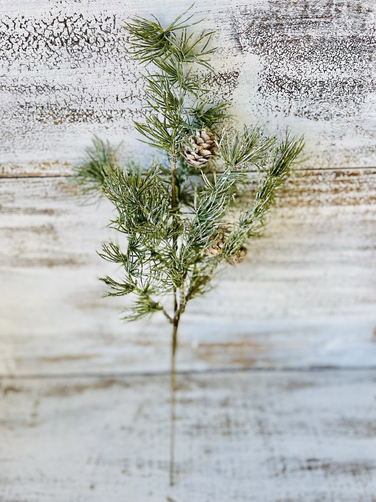 Weeping Pine Spray, 19”