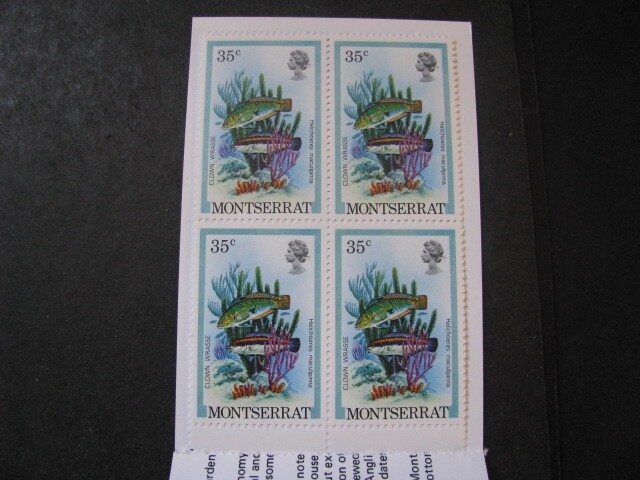 Montserrat Stamp Complete Fish Booklet from 1981 Never Hinged Unused