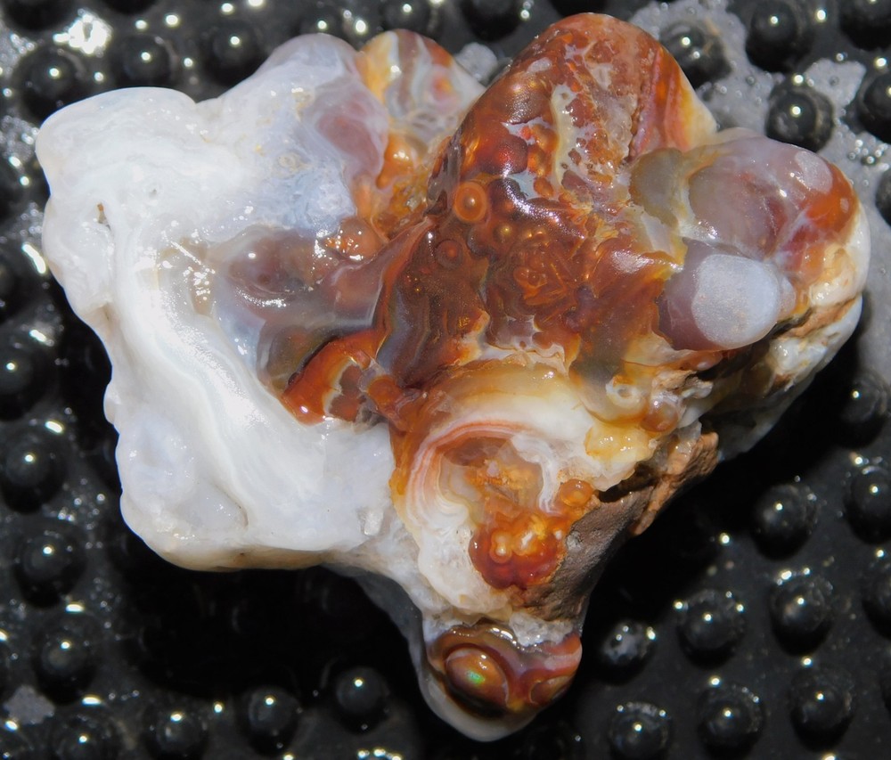 botryoidal Aguascalientes Fire Agate lapidary cabbing rough chunk Mexico 42 gram