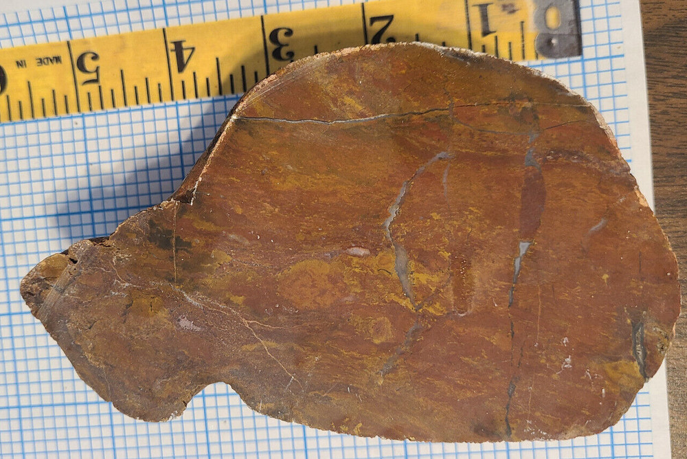 Red and Yellow Moss Agate Rough