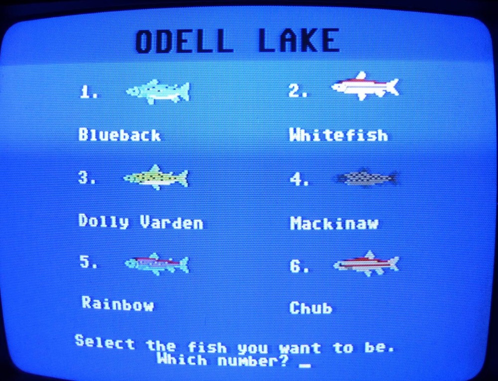 Commodore 64: ODELL LAKE Original Disk by MECC - Tested & WORKS