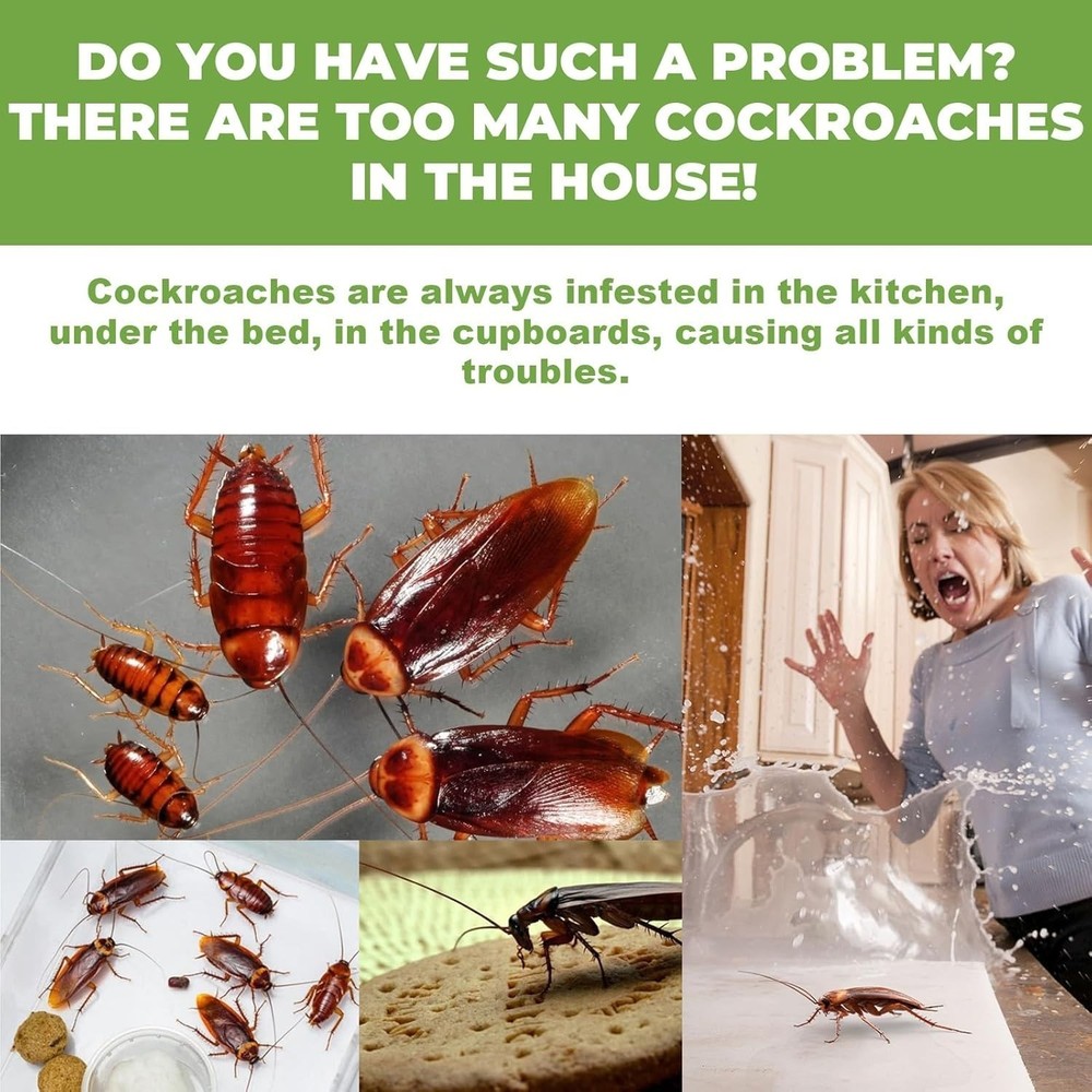 36PCS/Pack Roach Bait - Cockroach Killer Indoor Infestation