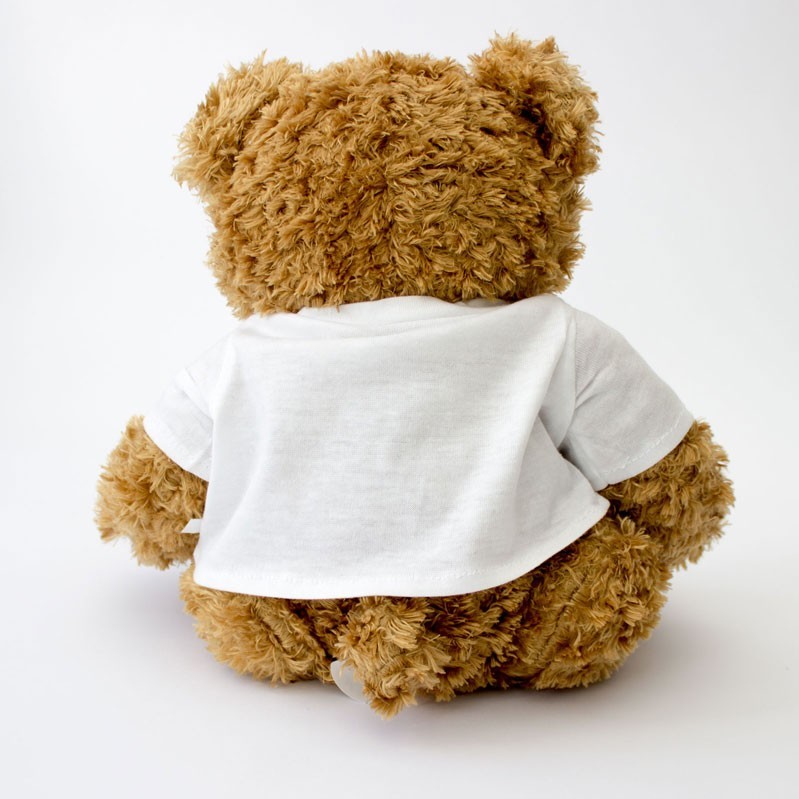 NEW - GREATEST COMPUTER PROGRAMMER EVER - Teddy Bear Cute - Gift Present Award