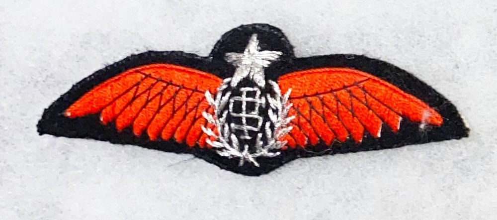 Unknown To Us Bullion Pilots Wing Patch