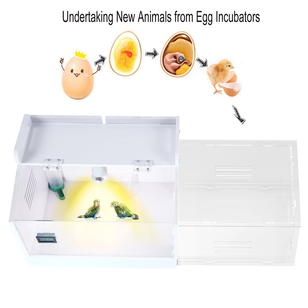 Iarge-Scale Chick brooder Box Quail Cage Egg Incubator Chick Starter Kit Chicken