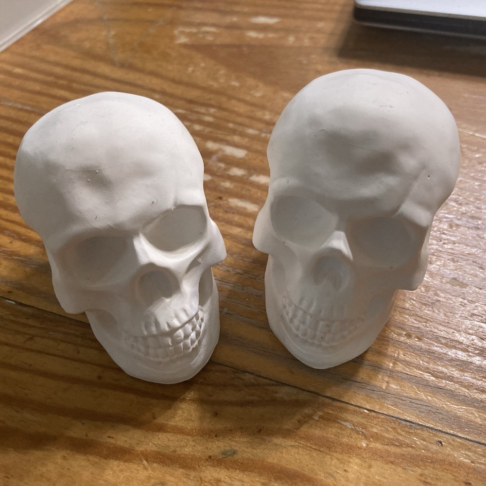 Human Skull Model Solid Plaster Small 3"x 2"x 3" Qty=3🔥🔥🔥🔥🔥🔥