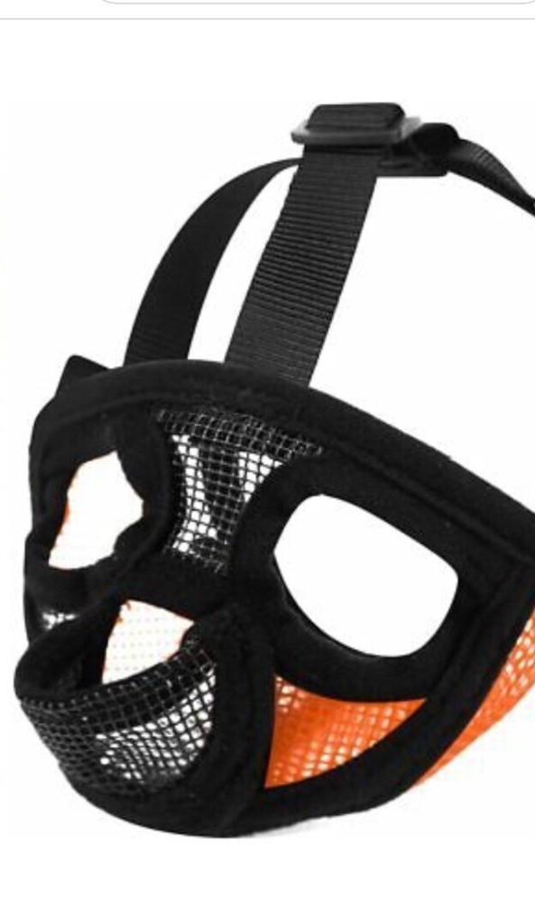 Tandd Short Mouth Muzzle Dog Flat Face