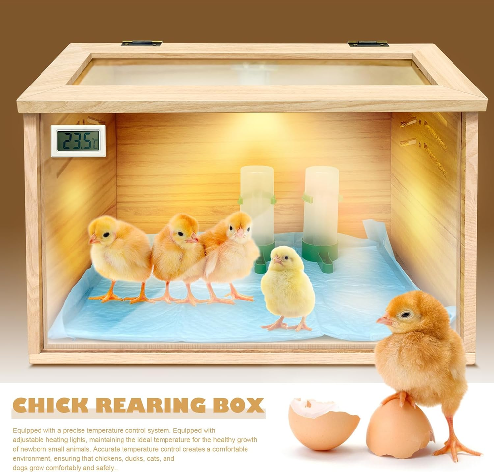 Chicken brooder BoxChick brooderbrooder Box for ChicksSmall Chicken coopB...