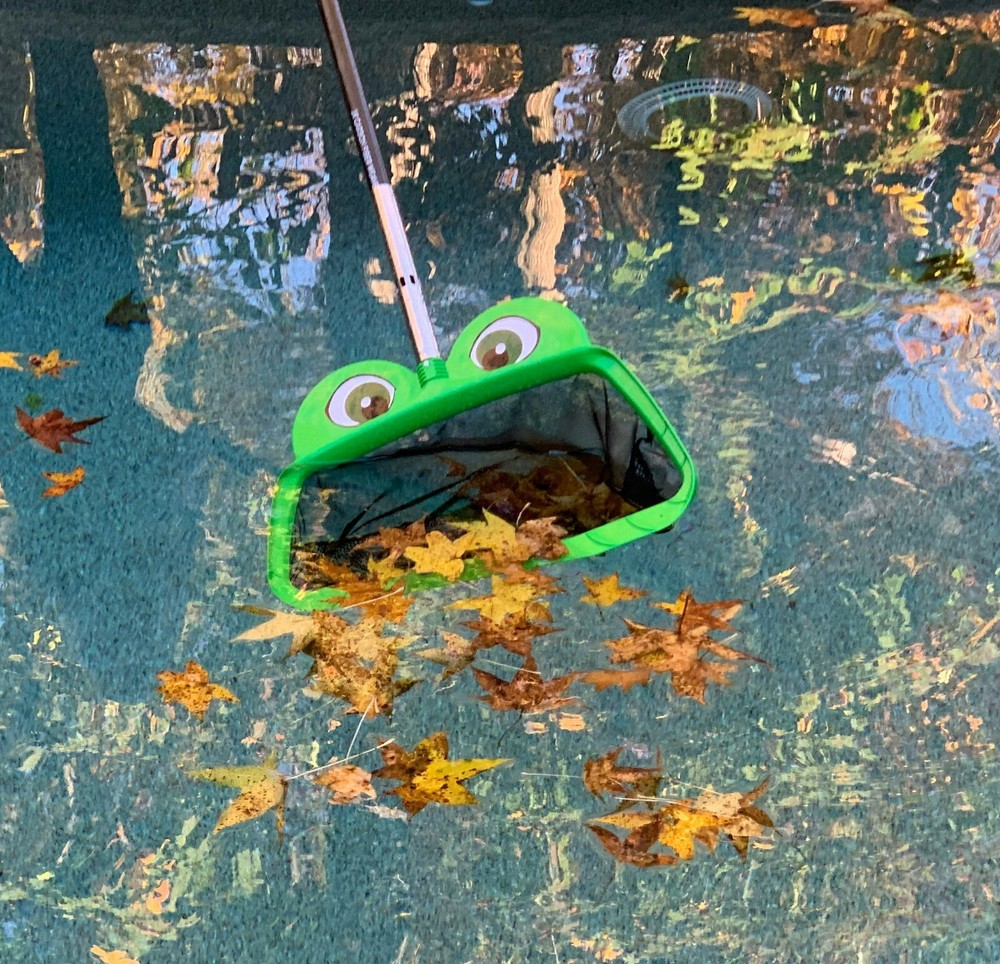 Mr. Frog Leaf Rake