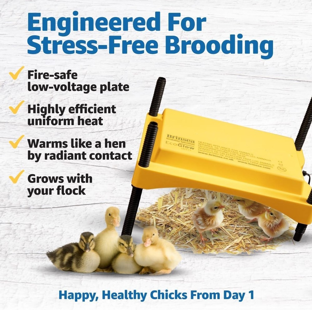 Indoor Poultry Heating Plate, 12 Watt, Adjustable for Comfortable Brooding