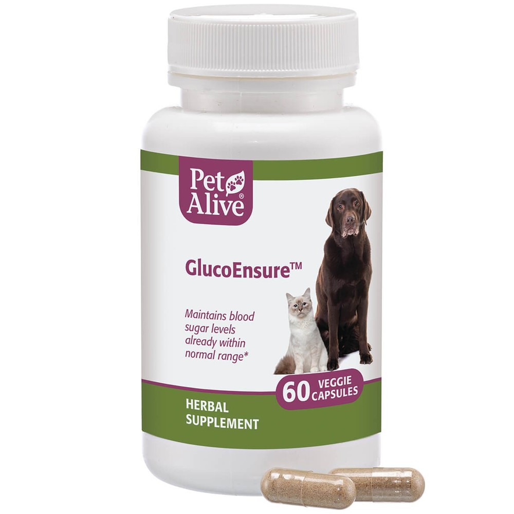 Native Remedies GlucoEnsure