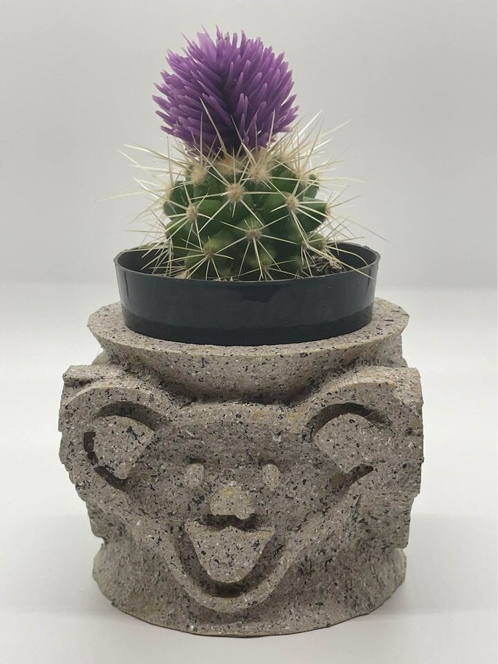 Grateful Dead Grateful Bear 3" Planter with Granite Finish