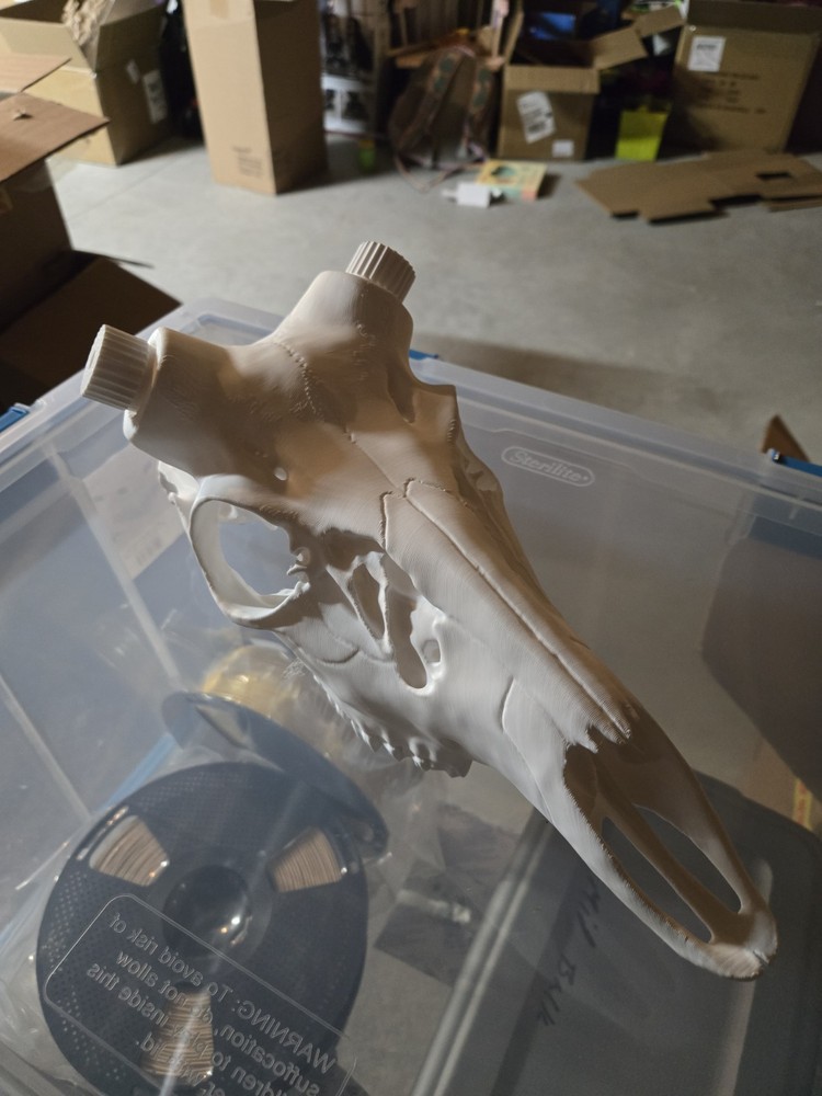 Whitetail Shed/mount Kit