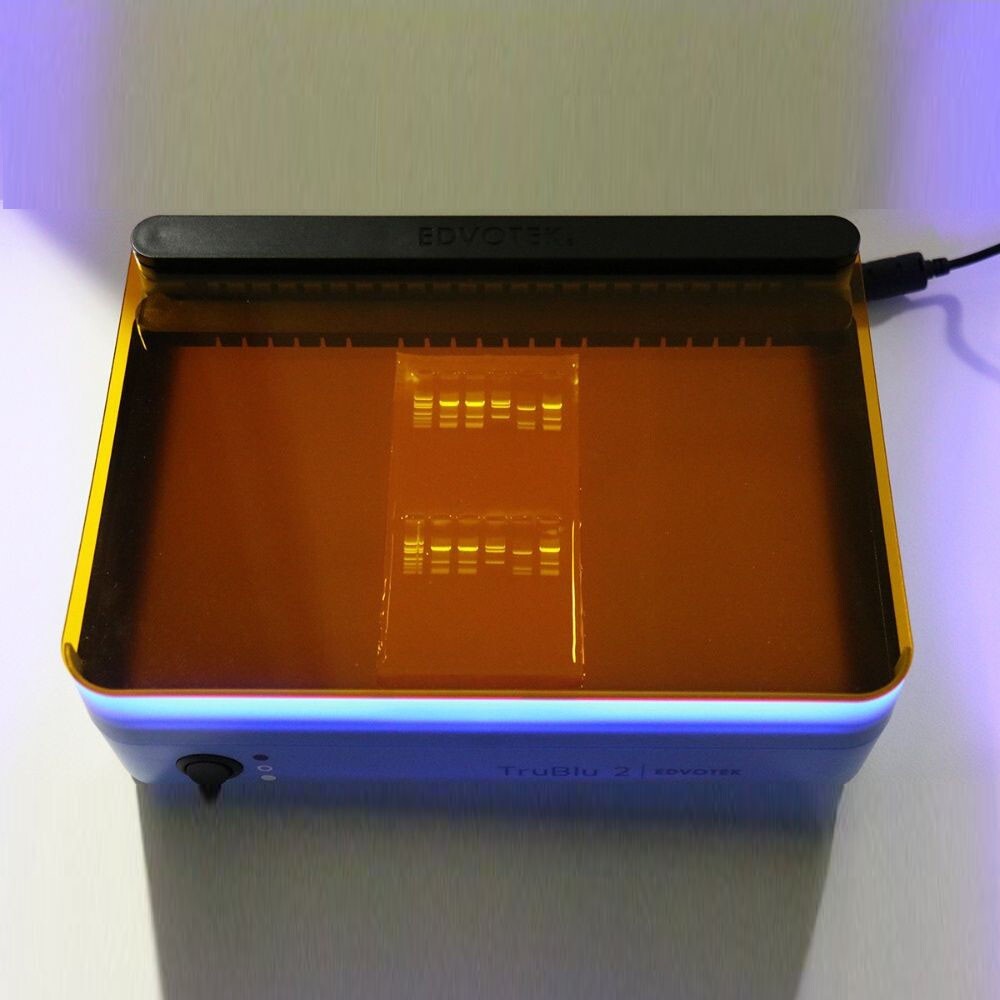 Lab Buffer SYBR Safe DNA Stain