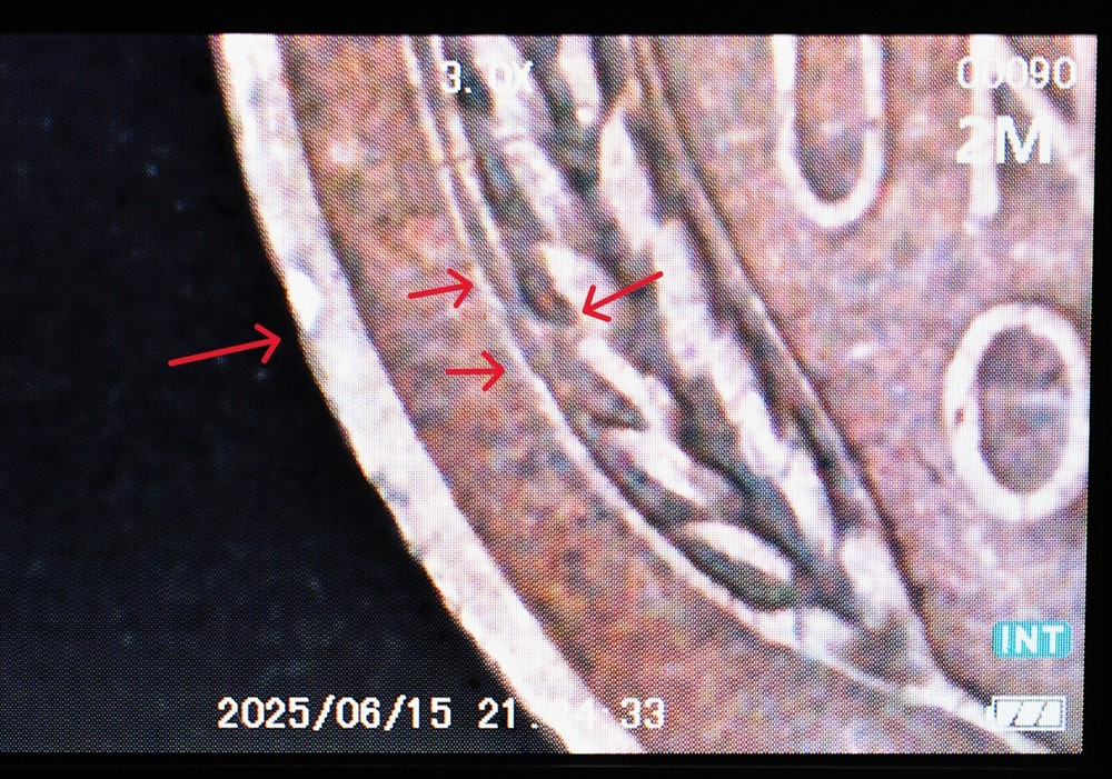 1949 S Lincoln Wheat Penny Error