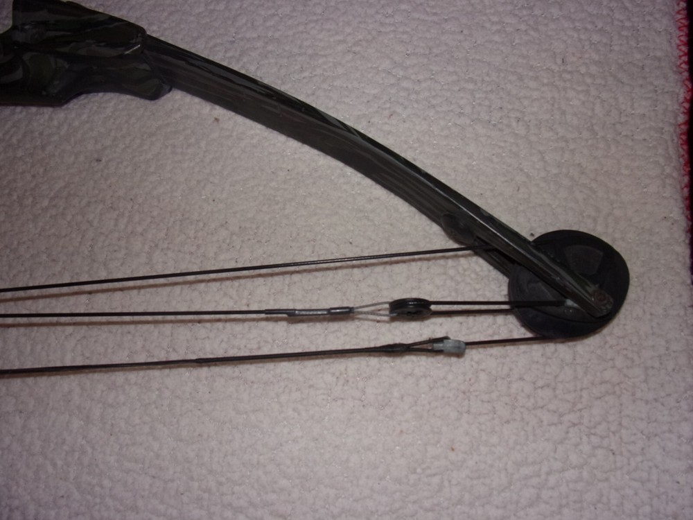 Bear Archery Cabela's Lightning Express Compound Bow