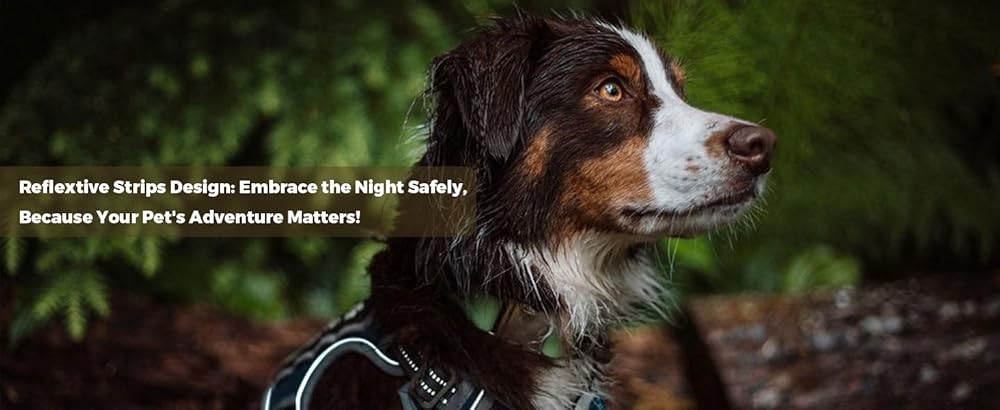Tactical Harn for Small Medium Dogs No Pull Adjustable Pet