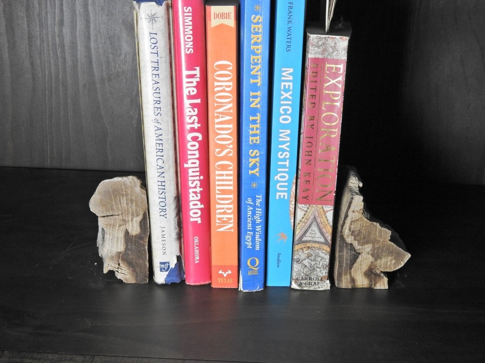 Book Ends Petrified Wood