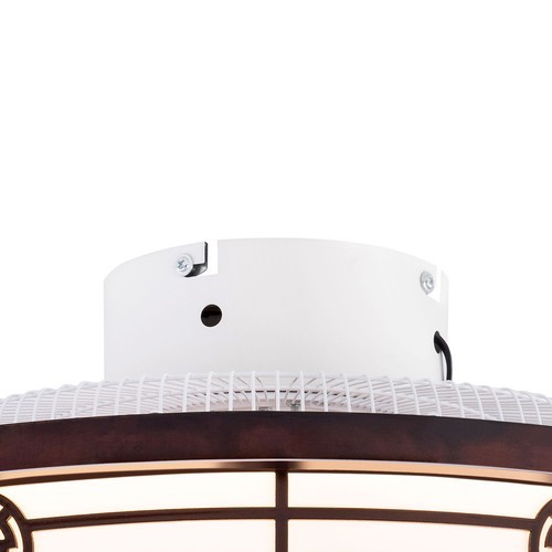 20'' Ceiling Fans+Light,Flush Mount Fandelier +Remote, Dimmable/Wind Speed/Timer