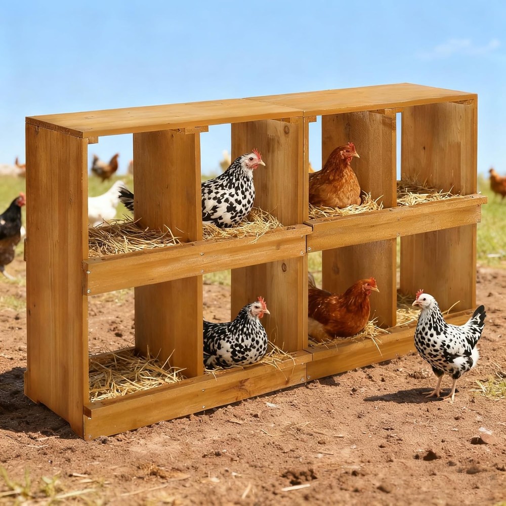 Nesting Boxes for Chickens 8/6/4/3 Compartments, Wood Chicken Nesting Box Wall