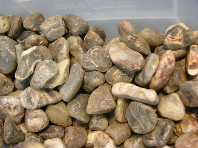 Botswana agate mine rough 2-1 inch 1 pound lot