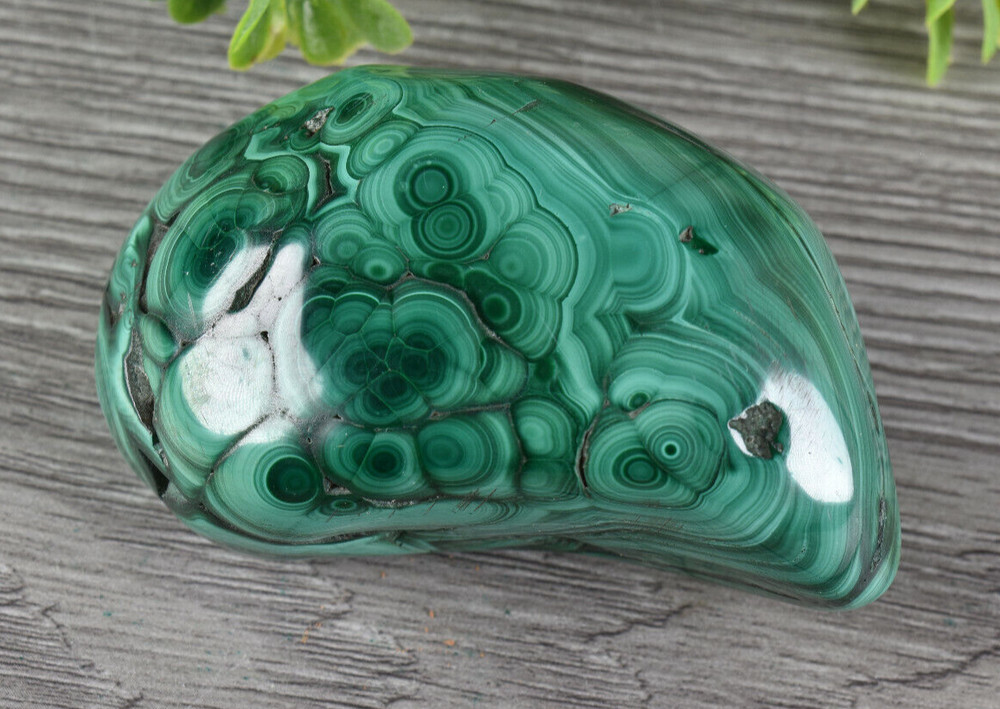 Polished Botryoidal Malachite from Congo 7.4 cm   # 21897