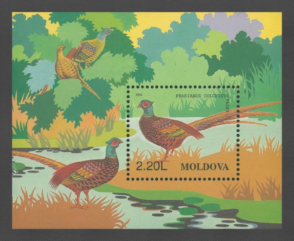 Moldova 1996 Birds, Pheasant MNH Block