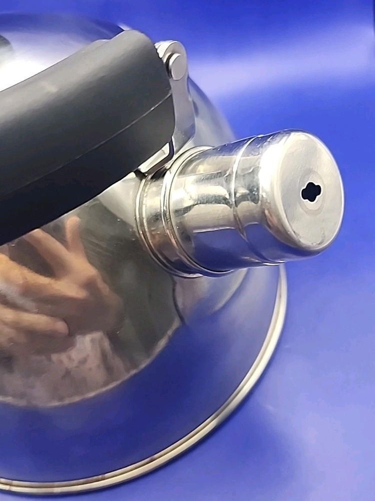 Oneida Stainless Tea Kettle Immaculate 2 Qt Clean Glossy