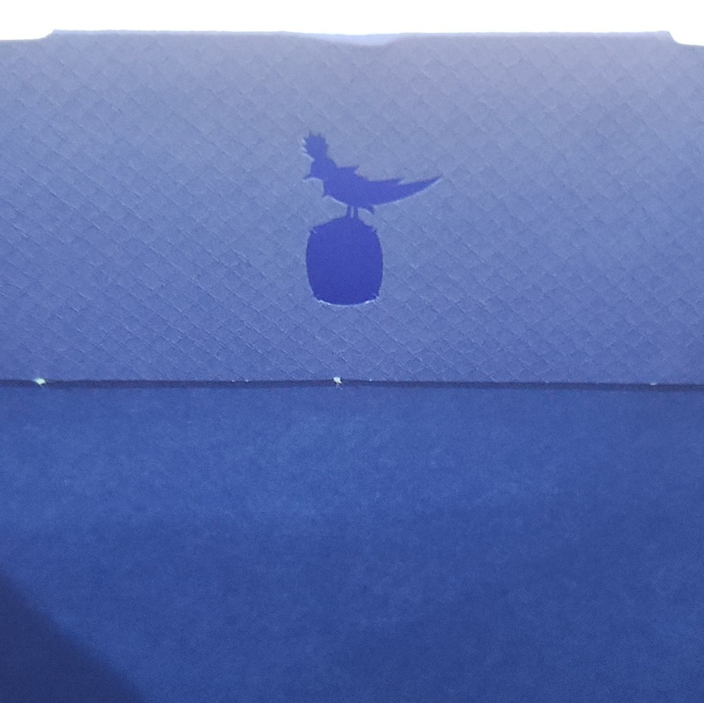 NEWEST Tiffany & Co. Shopping Bag Empty