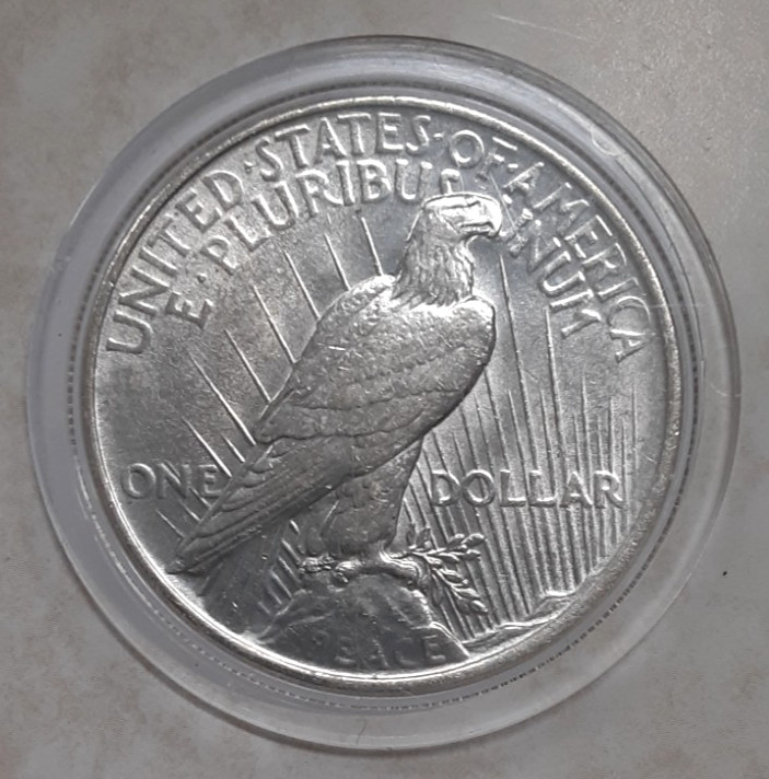 1923 Peace Silver Dollar Circulated in Info Card