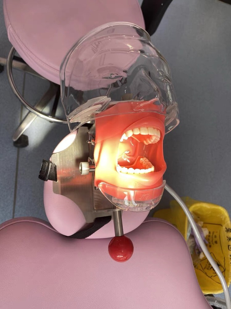 Dental Manikin Phantom Head Model Training Simulator Installed on Chair Headrest