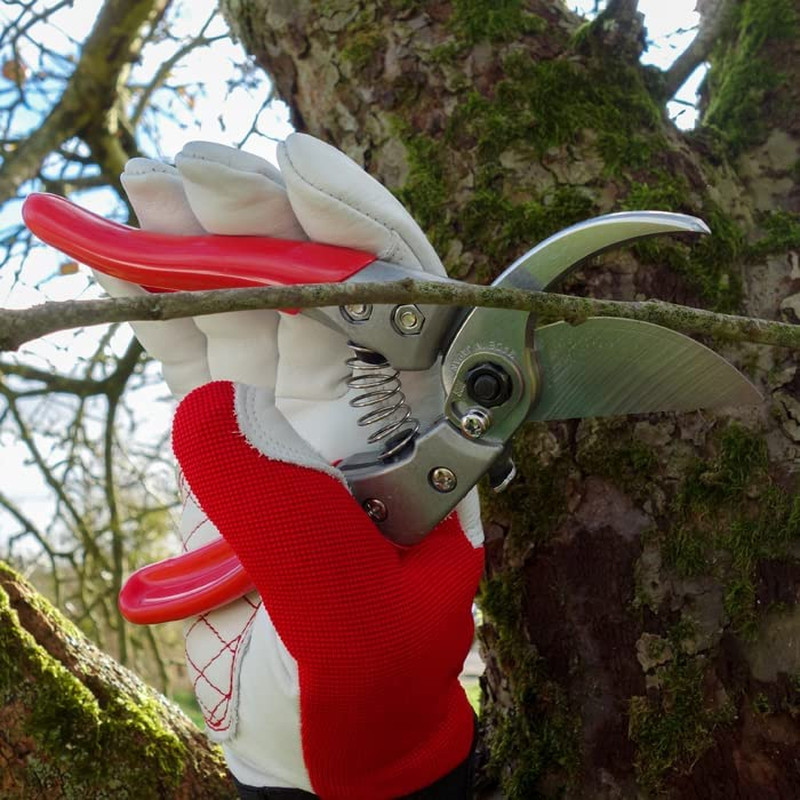 Heavy-Duty Pruner,ARS HP-VS8Z|Professional Precision & Comfort