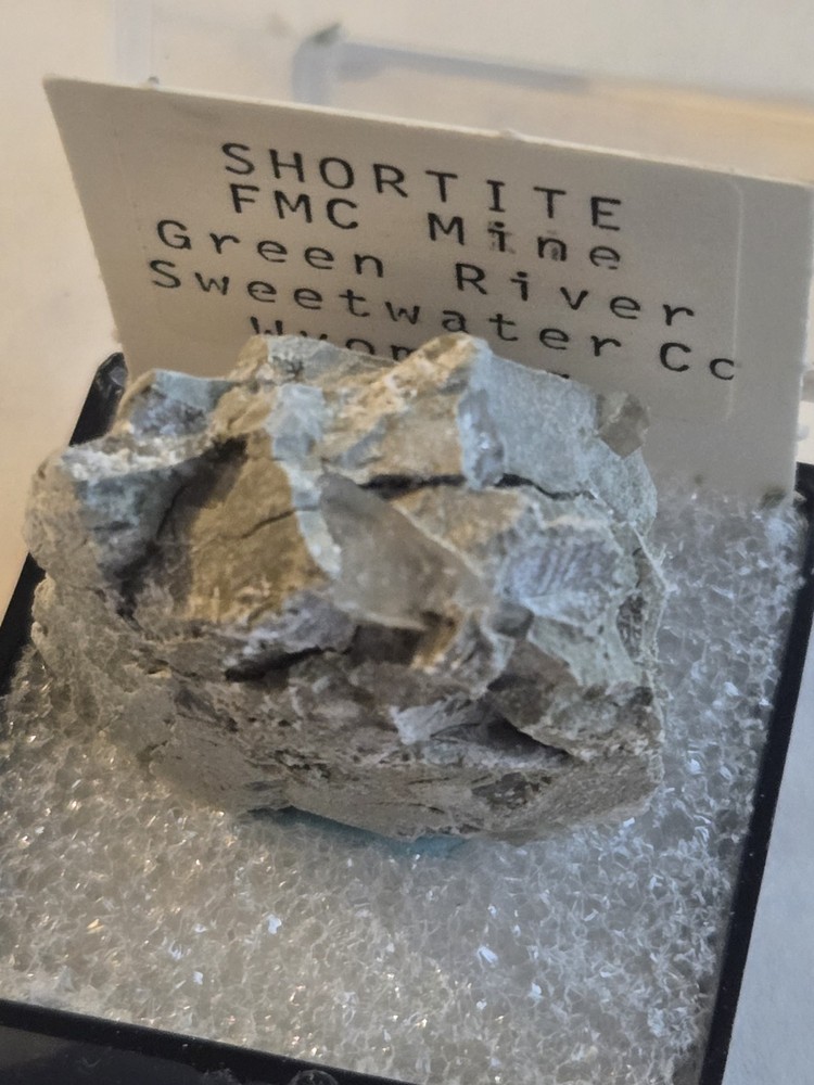 Stunning Shortite specimen