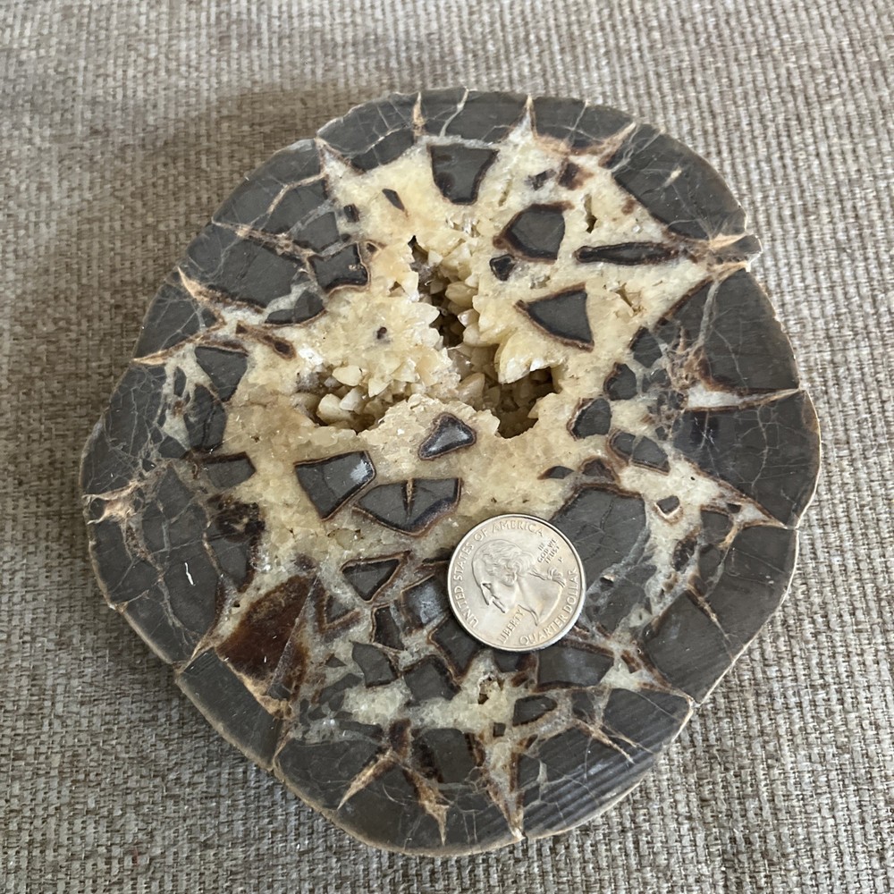 Larger Cut SEPTARIAN Nodule Half With a Lightning Like Pattern! Utah 2 Lbs
