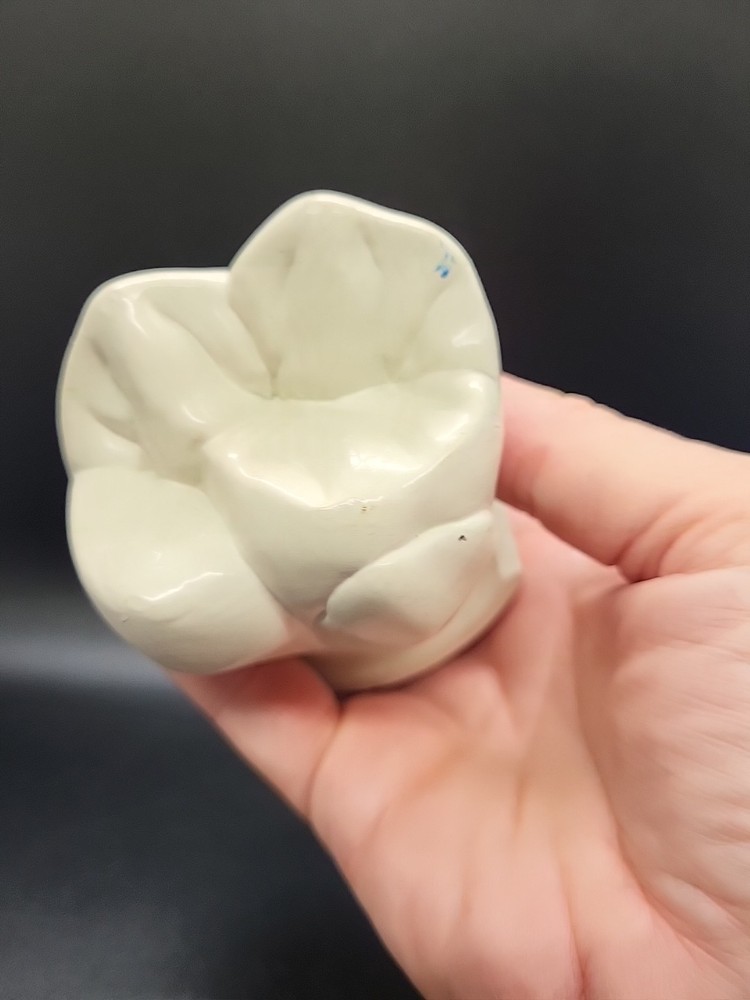 Two Weird Tooth Models 1970's