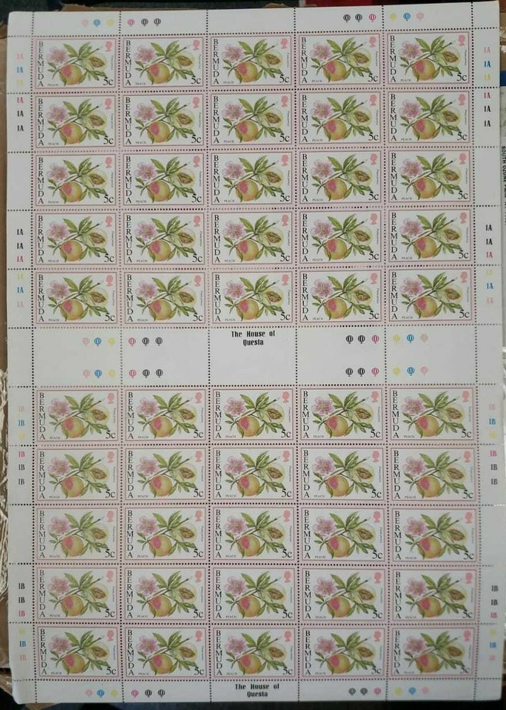 Bermuda 668 - Peach - Sheet Of 50 - MNH