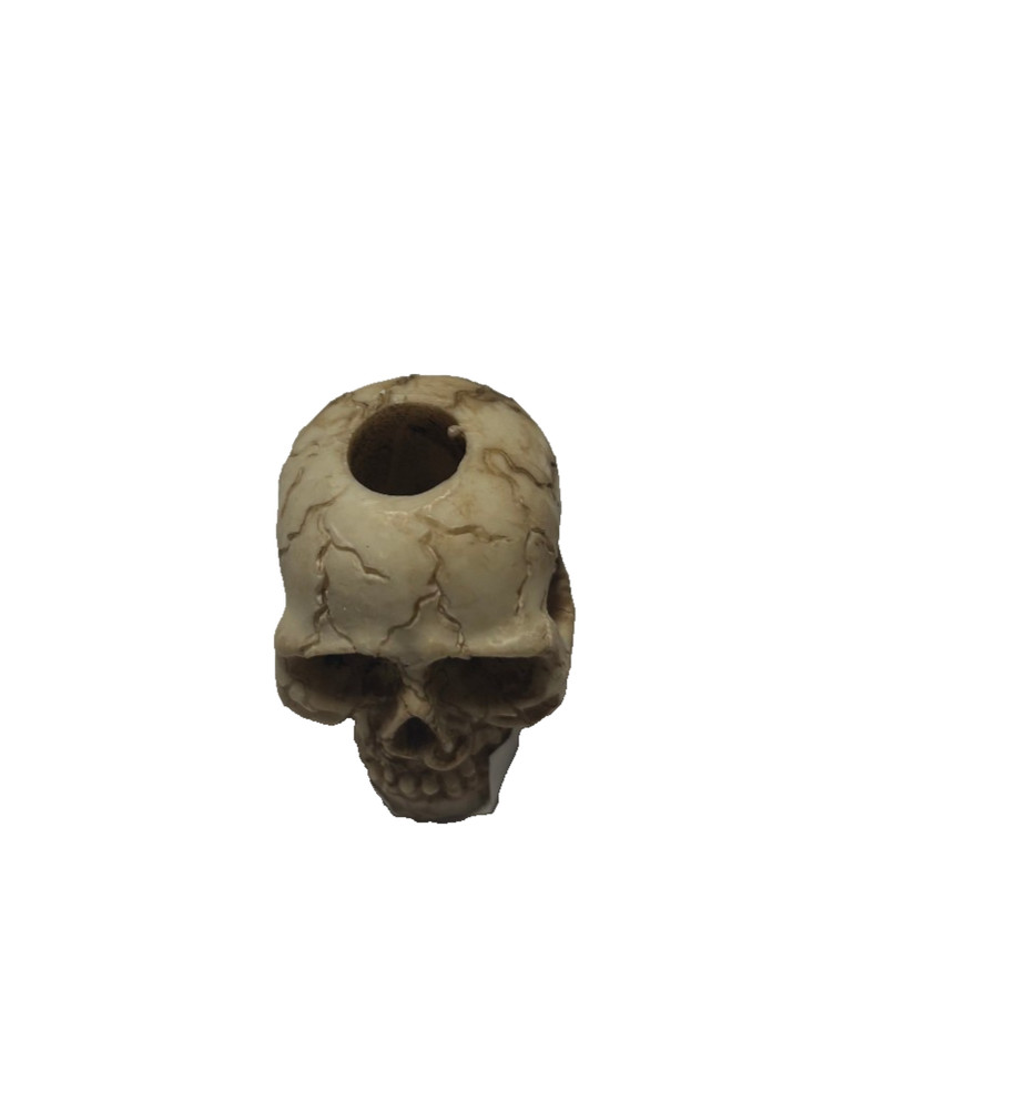 Cigarette Extinguisher Skull Shape | Design 1