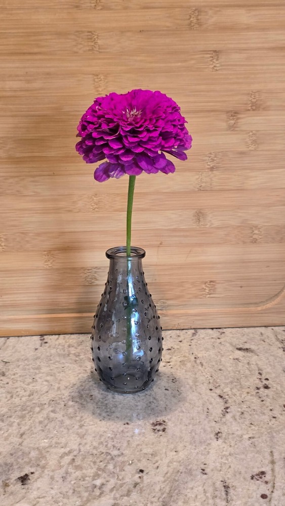 Glass vase in great used condition