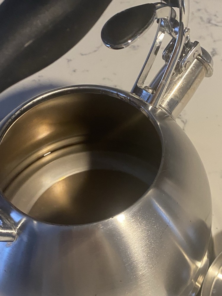 Well Equipped Kitchen Stainless Steel Tea Kettle Black Handle