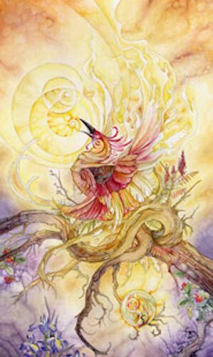 Shadowscapes Tarot Card Deck!