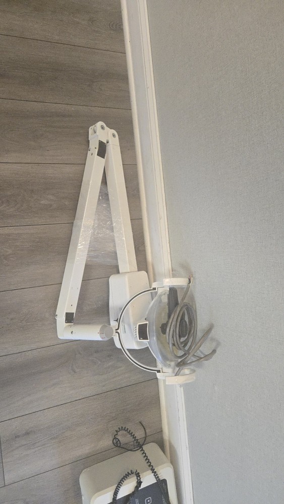 Belmont clesta pole mounted haogen light