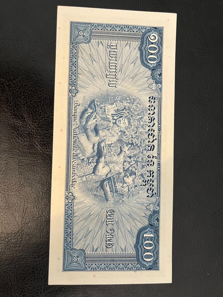 Rare 100 Riels Banknote