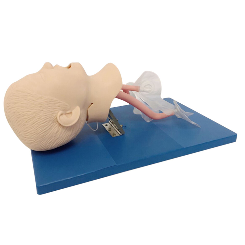 Study Pediatric Oral Nasal Intubation Manikin Study Teaching Model Training PVC
